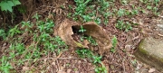 Thumbnail of pic_Derek_Wong_047.jpg