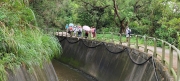 Thumbnail of pic_Derek_Wong_050.jpg