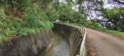 Thumbnail of pic_Derek_Wong_051.jpg