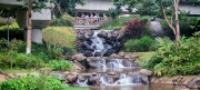 Thumbnail of pic_Cindy_Tse_007.jpg