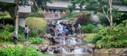 Thumbnail of pic_Cindy_Tse_013.jpg