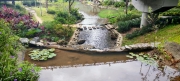 Thumbnail of pic_Cindy_Tse_018.jpg