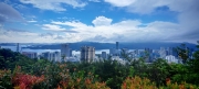 Thumbnail of pic_Cindy_Tse_021.jpg