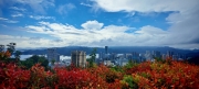Thumbnail of pic_Cindy_Tse_024.jpg