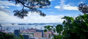 Thumbnail of pic_Cindy_Tse_025.jpg