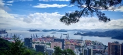 Thumbnail of pic_Cindy_Tse_027.jpg