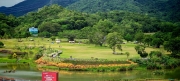 Thumbnail of pic_Cindy_Tse_033.jpg