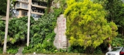 Thumbnail of pic_Derek_Wong_004.jpg