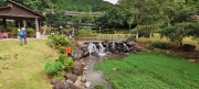 Thumbnail of pic_Derek_Wong_013.jpg