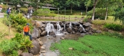 Thumbnail of pic_Derek_Wong_014.jpg