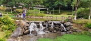 Thumbnail of pic_Derek_Wong_015.jpg