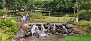 Thumbnail of pic_Derek_Wong_016.jpg
