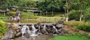 Thumbnail of pic_Derek_Wong_017.jpg