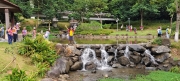 Thumbnail of pic_Derek_Wong_019.jpg