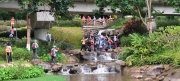Thumbnail of pic_Derek_Wong_022.jpg