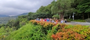Thumbnail of pic_Derek_Wong_040.jpg