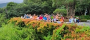 Thumbnail of pic_Derek_Wong_041.jpg