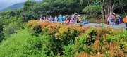 Thumbnail of pic_Derek_Wong_043.jpg