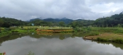 Thumbnail of pic_Derek_Wong_048.jpg