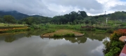 Thumbnail of pic_Derek_Wong_049.jpg