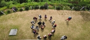 Thumbnail of pic_Derek_Wong_060.jpg