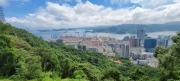 Thumbnail of pic_Derek_Wong_061.jpg
