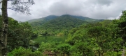 Thumbnail of pic_Derek_Wong_071.jpg