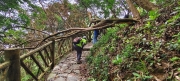 Thumbnail of pic_Derek_Wong_078.jpg