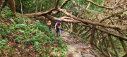 Thumbnail of pic_Derek_Wong_079.jpg