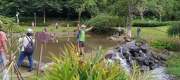 Thumbnail of pic_Mingle_Tam_005.jpg
