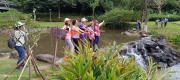 Thumbnail of pic_Mingle_Tam_008.jpg