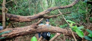 Thumbnail of pic_Cindy_Tse_010.jpg