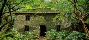 Thumbnail of pic_Cindy_Tse_020.jpg
