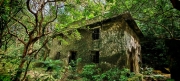 Thumbnail of pic_Cindy_Tse_021.jpg