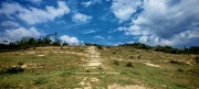 Thumbnail of pic_Cindy_Tse_026.jpg