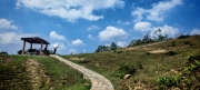 Thumbnail of pic_Cindy_Tse_027.jpg