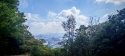 Thumbnail of pic_Cindy_Tse_029.jpg
