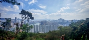 Thumbnail of pic_Cindy_Tse_031.jpg