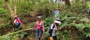 Thumbnail of pic_Derek_Wong_003.jpg