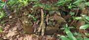 Thumbnail of pic_Derek_Wong_010.jpg