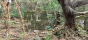 Thumbnail of pic_Derek_Wong_014.jpg