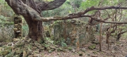Thumbnail of pic_Derek_Wong_015.jpg