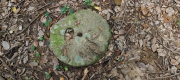 Thumbnail of pic_Derek_Wong_017.jpg