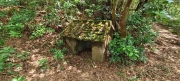 Thumbnail of pic_Derek_Wong_021.jpg