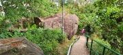 Thumbnail of pic_Derek_Wong_024.jpg
