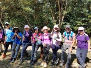 Thumbnail of PA260034.jpg