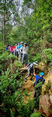 Thumbnail of pic_Cindy_Tse_005.jpg