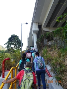 Thumbnail of pic_LK_Cheung_014.JPG