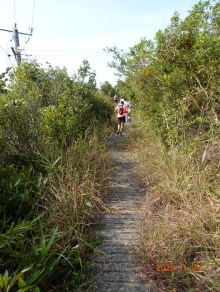 Thumbnail of pic_LK_Cheung_026.JPG