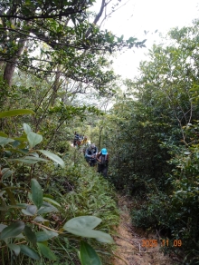 Thumbnail of pic_LK_Cheung_042.JPG